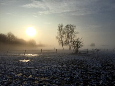 Ice trees frozen photo