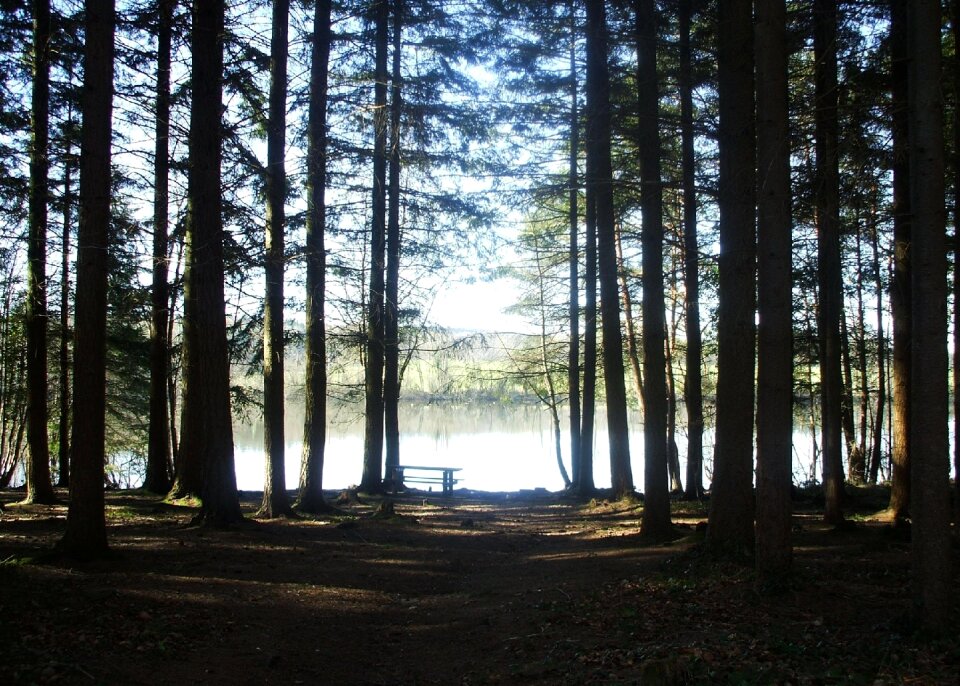 Tourism trees water courses
