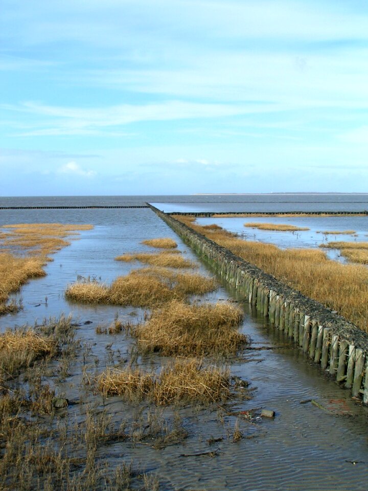 Nature landscape salt air