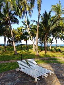 Vacations wave nature