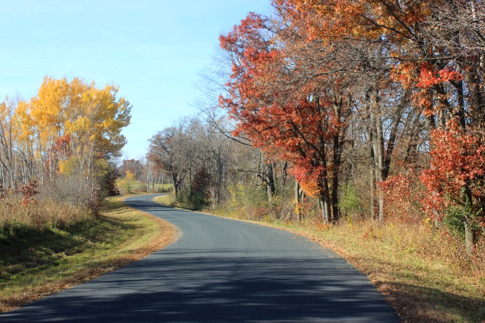Rural scenic