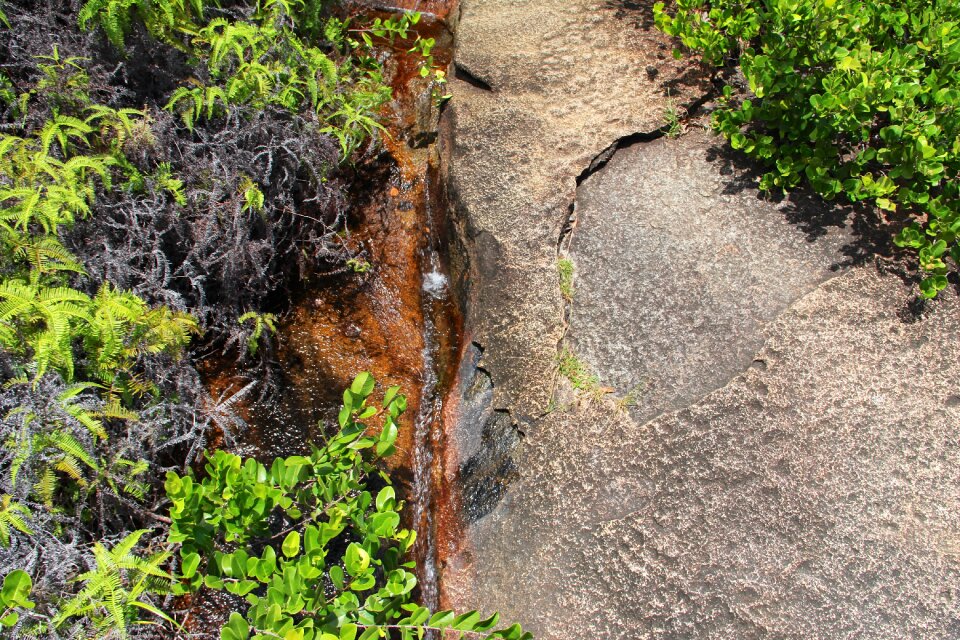 Nature water small stream photo