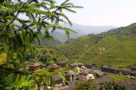 Rice fields asia landscape photo