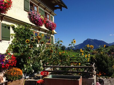 Blue sky mountains flower box