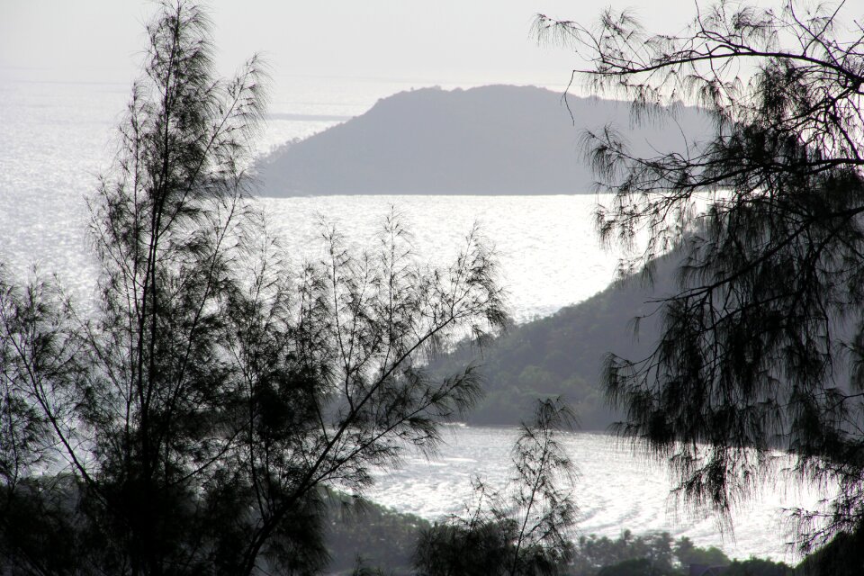 Rocky landscape nature tree