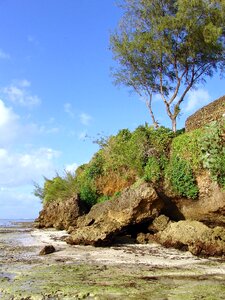 Ocean nature landscape