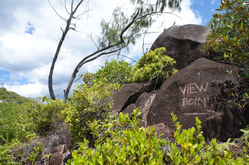 Rocky landscape nature tree