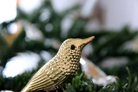 Bird gold christmas