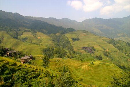 Rice fields asia landscape