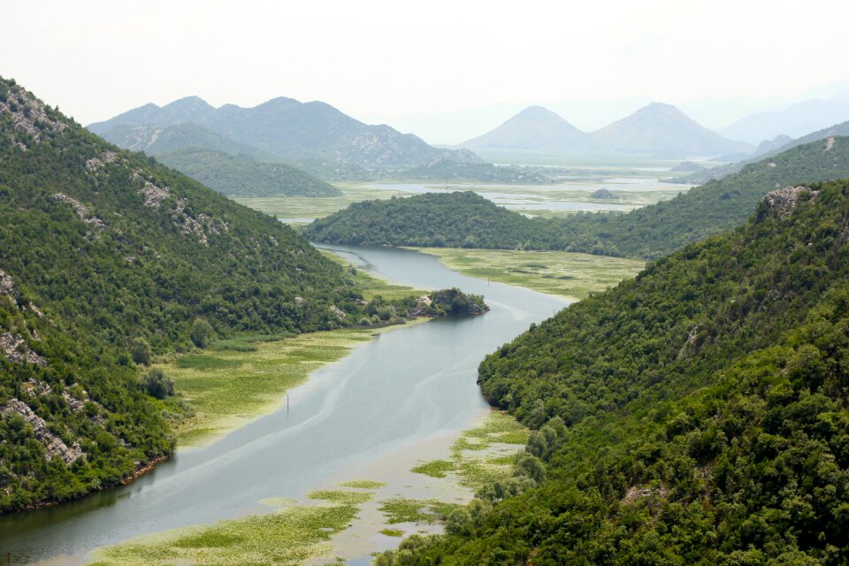 Rocky landscape nature tree