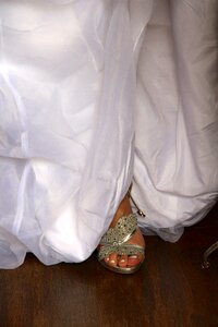 White elegant women's shoes photo
