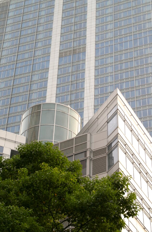 Modern architecture building