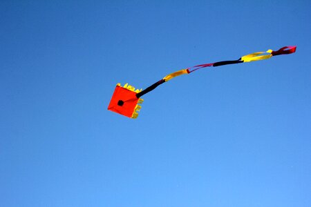 Dragon rising kites rise flying kites photo