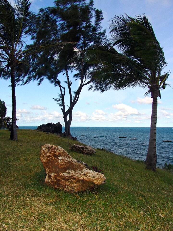 Vacations wave nature