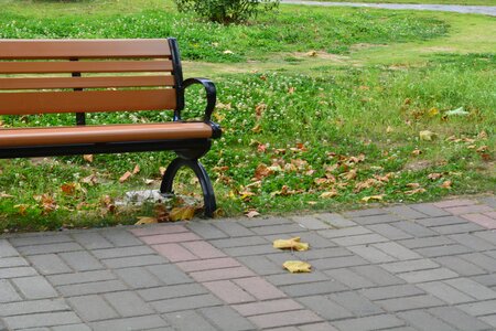Public seating bench park photo