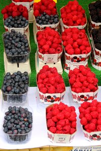 Berry fruits wild berry