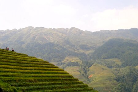 Rice fields asia landscape photo