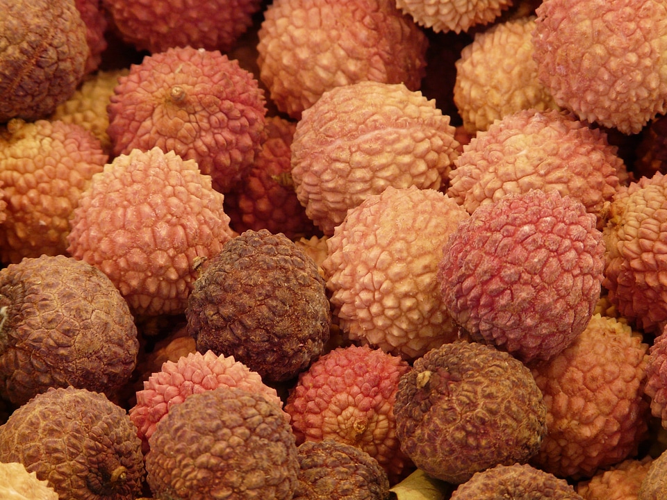 Chinese hazelnut litschipflaume love fruit