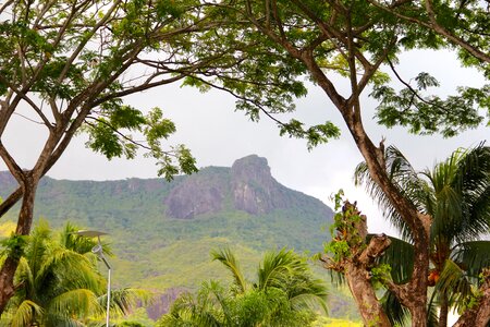 Rocky landscape nature tree