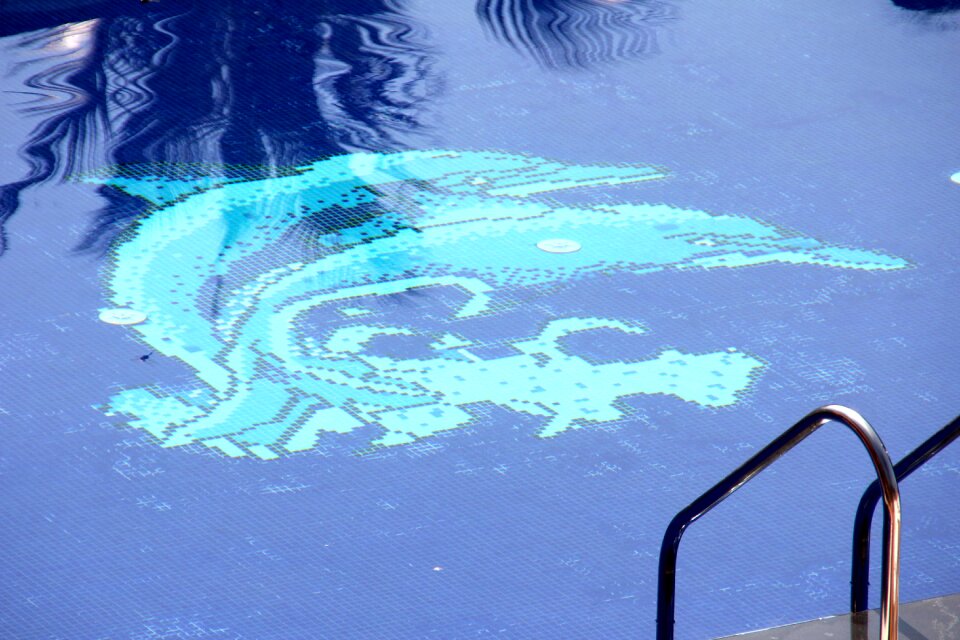 Water swimming pool bathing establishment
