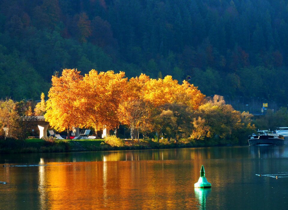 Colorful farbenrausch color