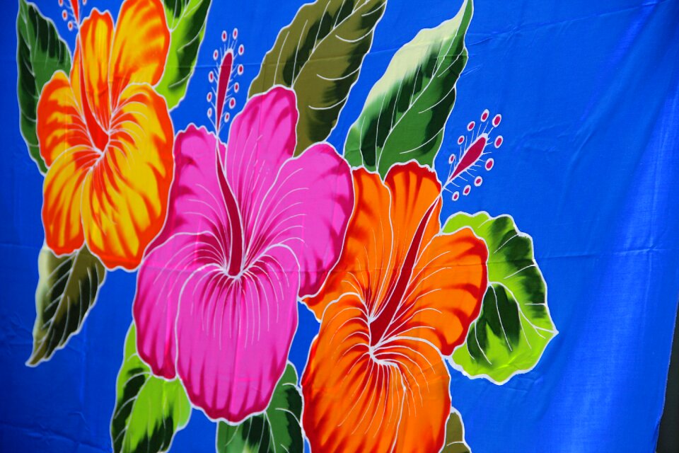 Nature summer summer flower