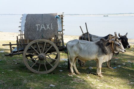 Tourists transport myanmar