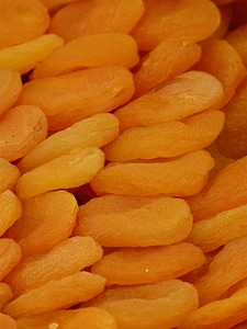 Orange apricot prunus armeniaca