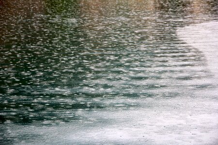 Drip raindrop drop of water photo
