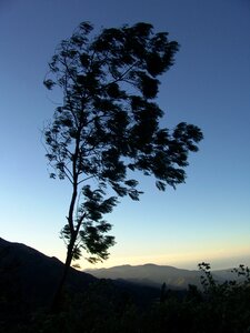 Canopy shadow mountains