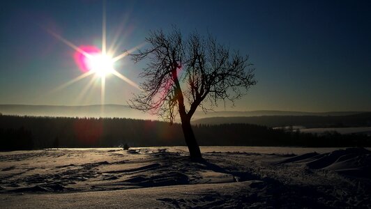Ore mountains winter tree