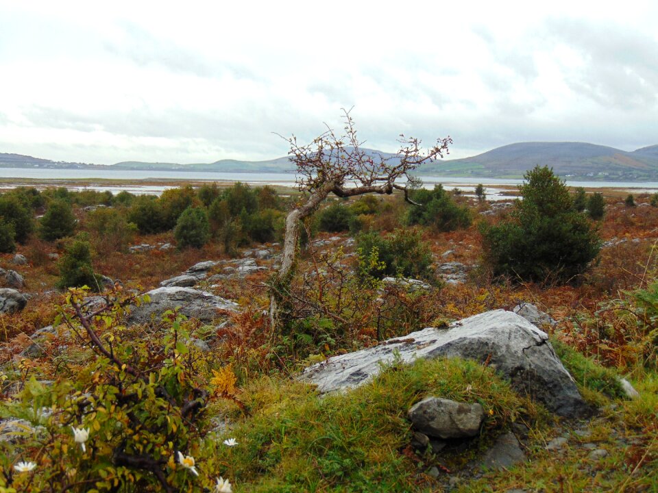Landscape environment outdoor