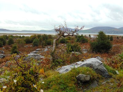 Landscape environment outdoor