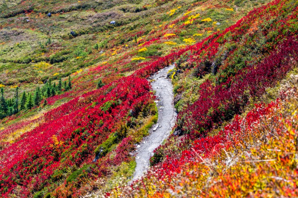Red scenery landscape