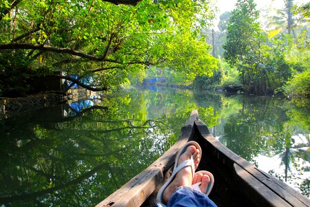 Rainforest boat rowing boat