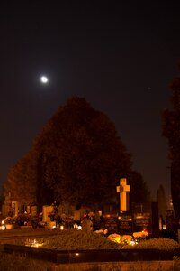 Dark dead the tomb of