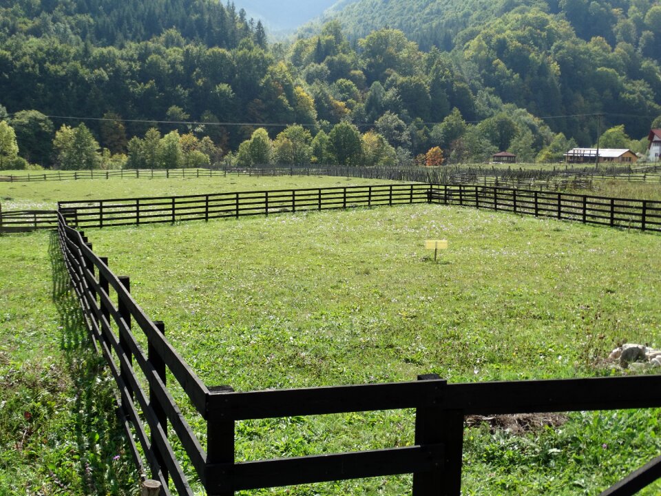 Mountain vrancea laffey