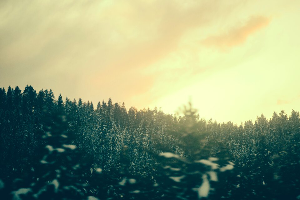Landscape winter season