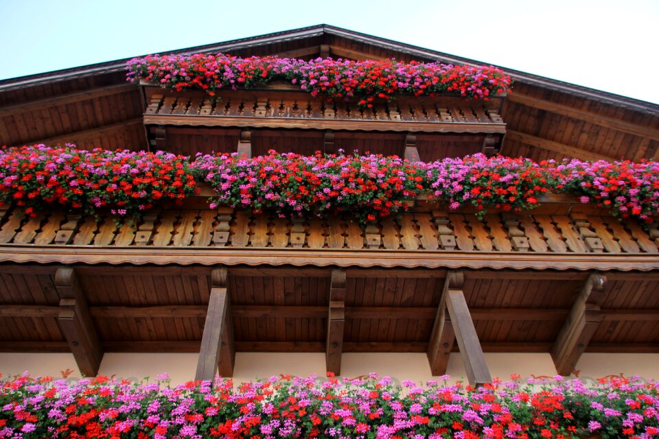 Tyrol flowerpot wood