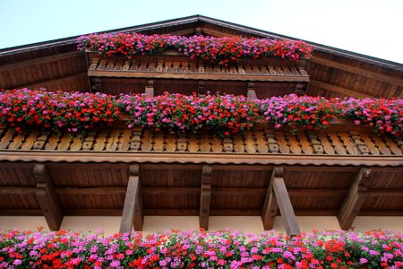 Tyrol flowerpot wood