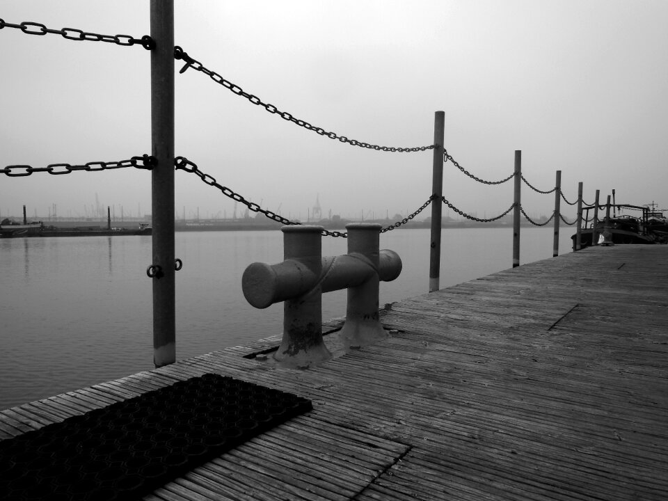 Bollard morning in the fog