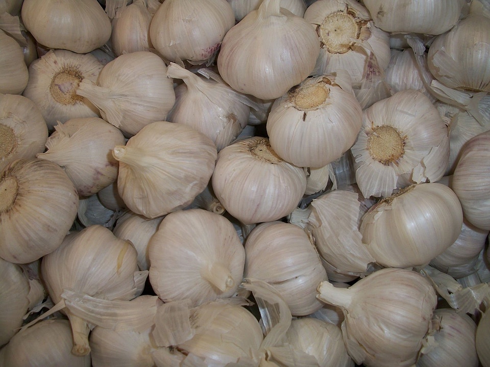 Seasoning flavoring ingredient
