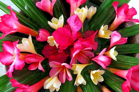 Bouquet pink white photo