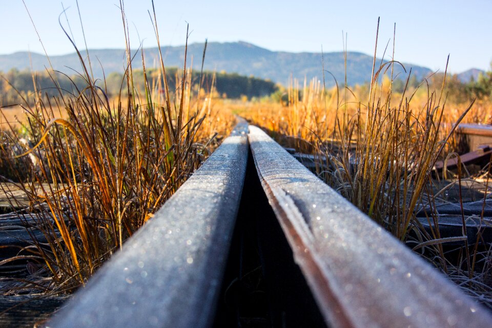 Railway junction railway rails