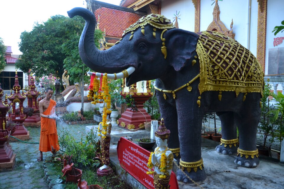 Temple watering garden