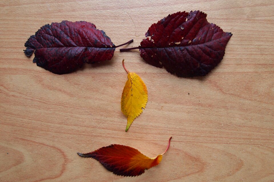 Face autumn seasons