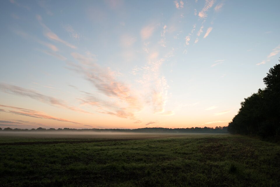 Field fog haze