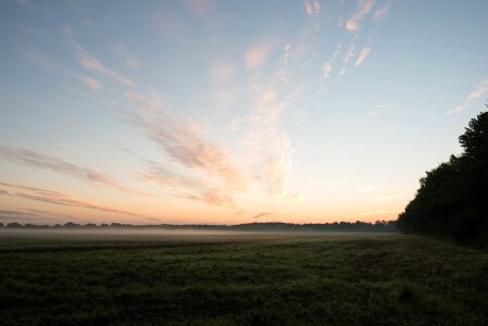 Field fog haze