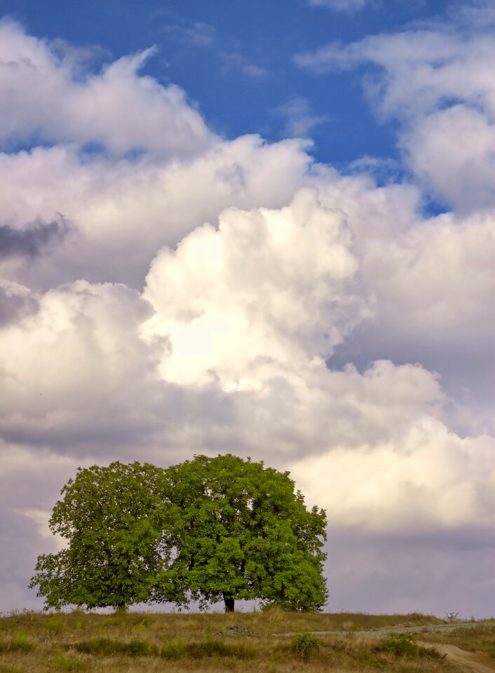 Natural landscape outdoor