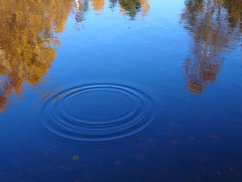 Water-level bank autumn